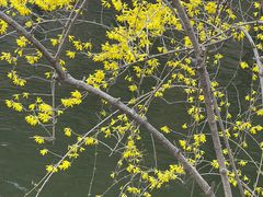 -天津盘山风景名胜区