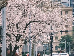-南浦大桥长途旅游客运站