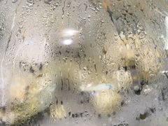 -阿鸡鱼庄·顺德鲜蒸小炒(亚运村店)