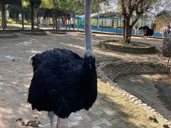 -武汉紫薇都市田园