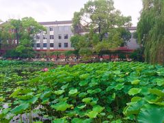 -四川大学(望江校区)