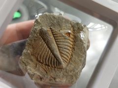 -房山世界地质公园博物馆