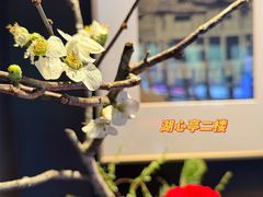 -豫园湖心亭茶楼
