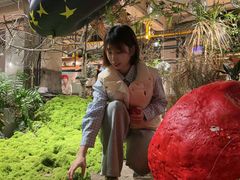 -三秋舍·梦幻岛(小西路店)