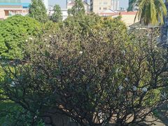 景点-吐斯廉屠杀博物馆