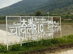 -艾米稻香小镇