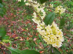 -云漫湖生态度假公园