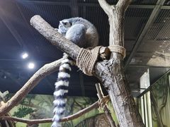 -海合安武汉极地海洋公园