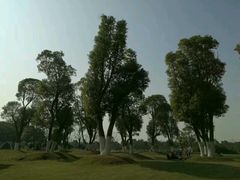 -艾溪湖湿地公园