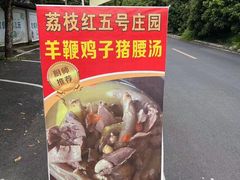 -荔枝红五号农庄