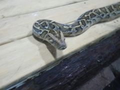 -石家庄市动物园