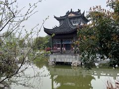 -葛仙湖公园