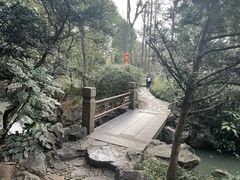 -汇龙潭