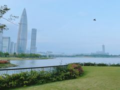 -深圳人才公园