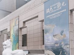 -上海博物馆