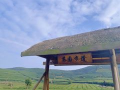 -龙坞茶村