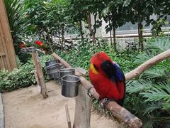 -南宫五洲植物乐园