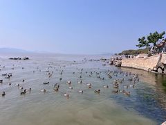 -深圳湾公园(南山区)