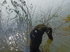 景点-焦山风景区