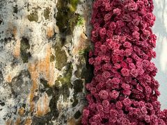 -澳门圣地牙哥古堡酒店