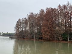 -上海海湾国家森林公园