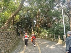 -中山公园(石岐街道)