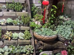 -四方小吃·白族庭院餐厅