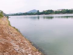 -羊山湖公园