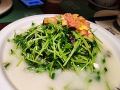 -首秀·四川料理(星耀101店)