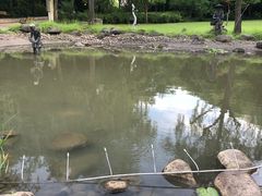 -苏州河梦清园环保主题公园