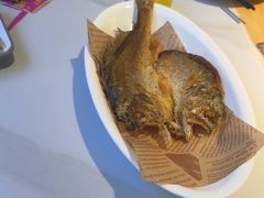 -鸽小宝(深圳首店)