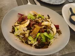 -Hi City·城市之巅