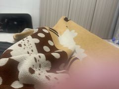 -先鲜鲫鱼粥
