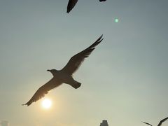 -星海广场