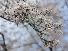 -西北湖绿化广场