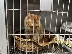 -派特宠物医院(圆融广场店)