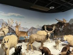 -陕西自然博物馆