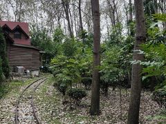 -合肥滨湖国家森林公园