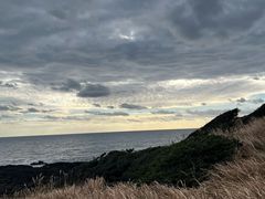 -涉地可支