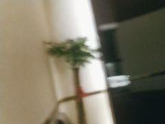 -沪碟·精菜坊(闵行店)