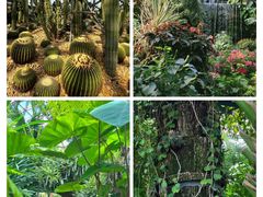 -上海辰山植物园