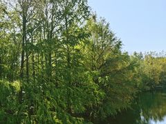 -上海海湾国家森林公园