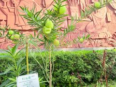 -广州神农草堂中医药博物馆
