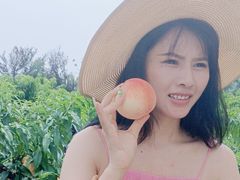 -南汇新场正宗水蜜桃采摘