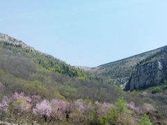 -青龙山国家森林公园
