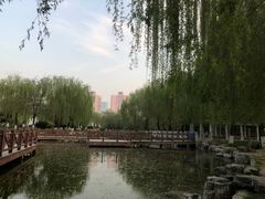 -丰台科技园生态主题公园