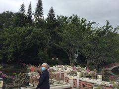 -深圳龙潭公园
