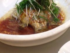 -宝园酒家(美林M·LIVE天地东座店)