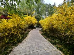 -莲花池公园