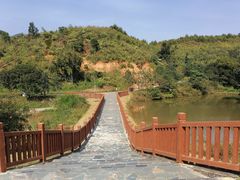 -田心森林公园